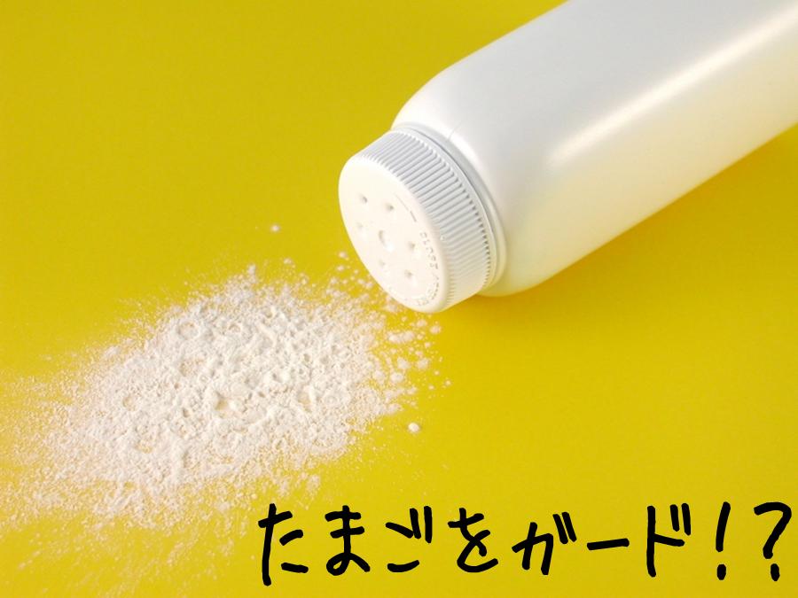 egg_powder201605.jpg