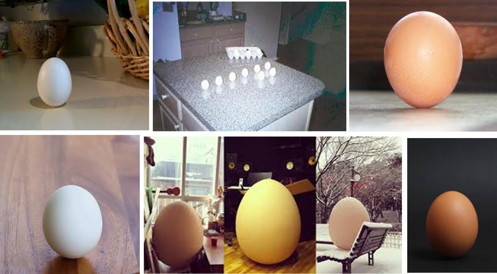 eggstanding2014.jpg