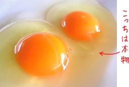 fake_eggs3honmono.jpg