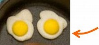 fakeegg7.jpg