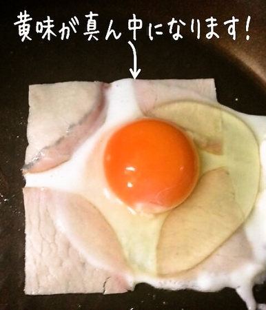 hamuegg42201608_pic.jpg