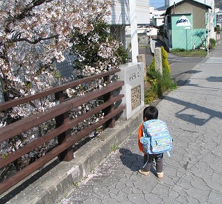 hanami_musuko_back.jpg