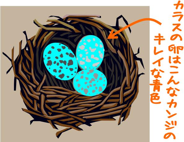 karasu_egg201406.jpg